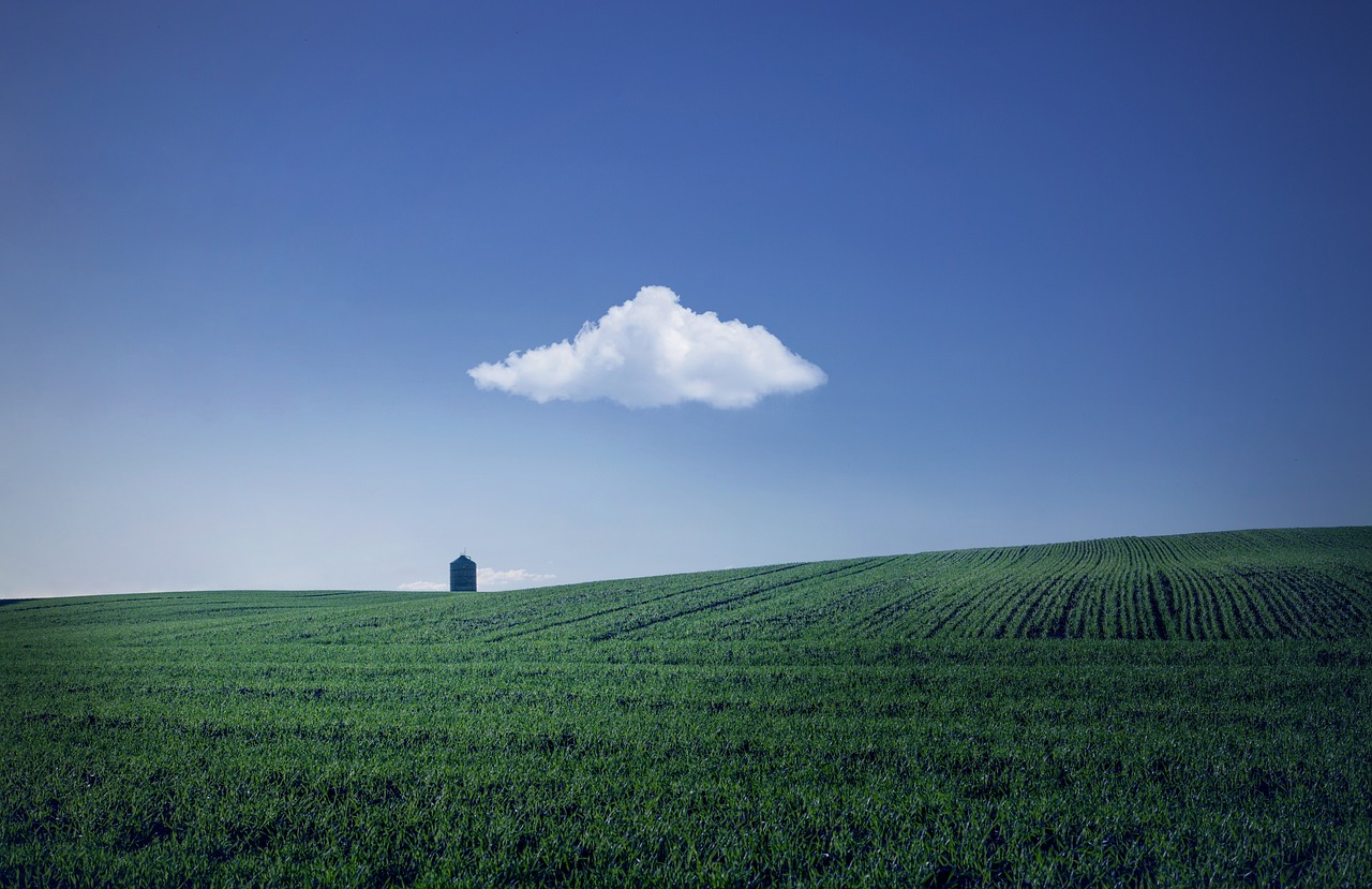 fields, farm, house-4765322.jpg